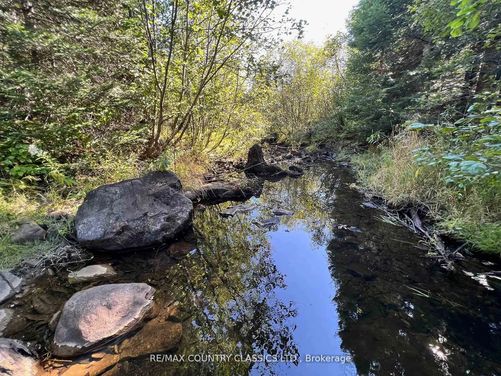 Photo 8 of 634 Lower Turriff Road, Bancroft, Dungannon Ward — HOMEH