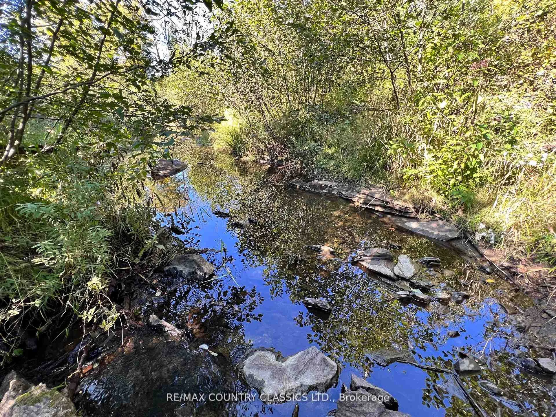 Photo 7 of 634 Lower Turriff Road, Bancroft, Dungannon Ward — HOMEH