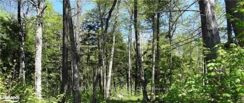 Photo 4 of LOT E21 Nippissing Ridge Road, Tiny, Rural Tiny — HOMEH