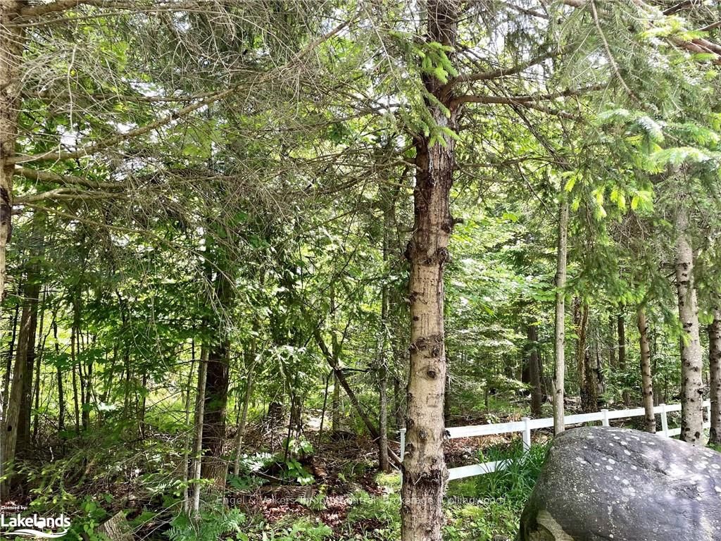 Photo 2 of LOT 454 Seguin Crescent, Tiny, Rural Tiny — HOMEH