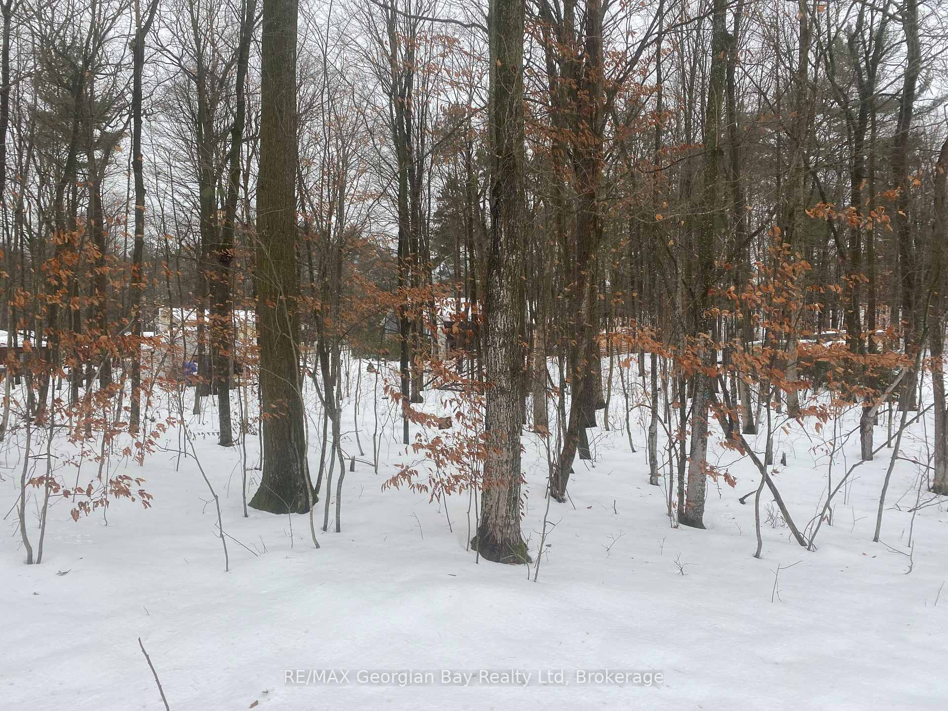 Photo 4 of Lot 558 Forest Circle, Tiny, Rural Tiny — HOMEH