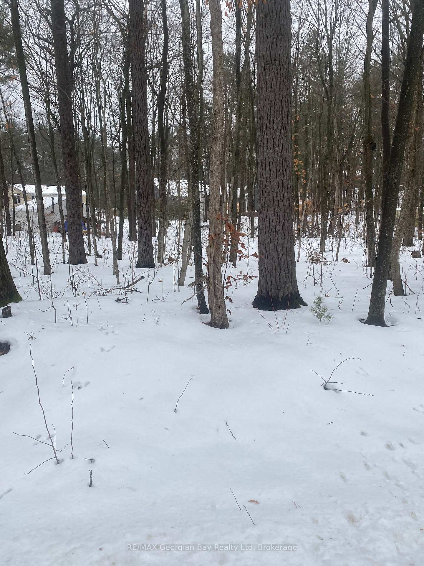 Photo 5 of Lot 558 Forest Circle, Tiny, Rural Tiny — HOMEH