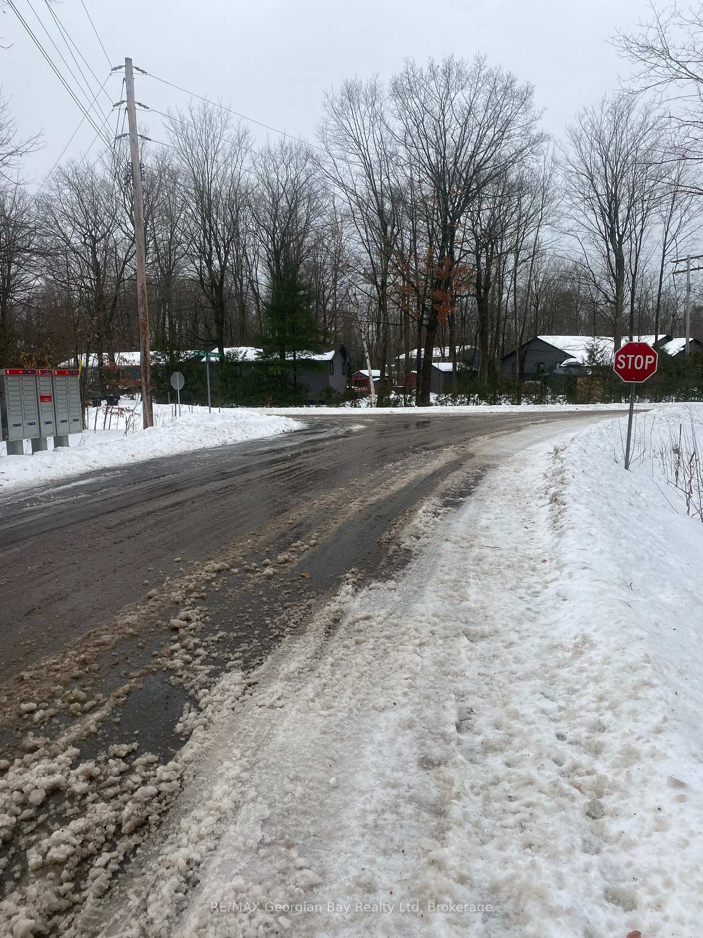 Photo 6 of Lot 558 Forest Circle, Tiny, Rural Tiny — HOMEH
