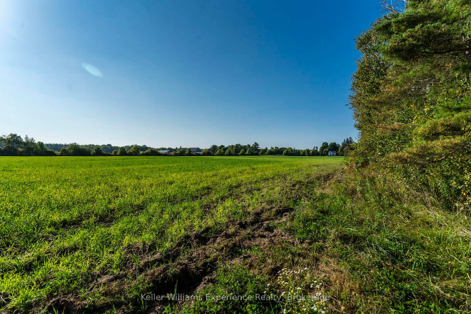 Photo 37 of 159 Concession Rd 3 W, Tiny, Rural Tiny — HOMEH