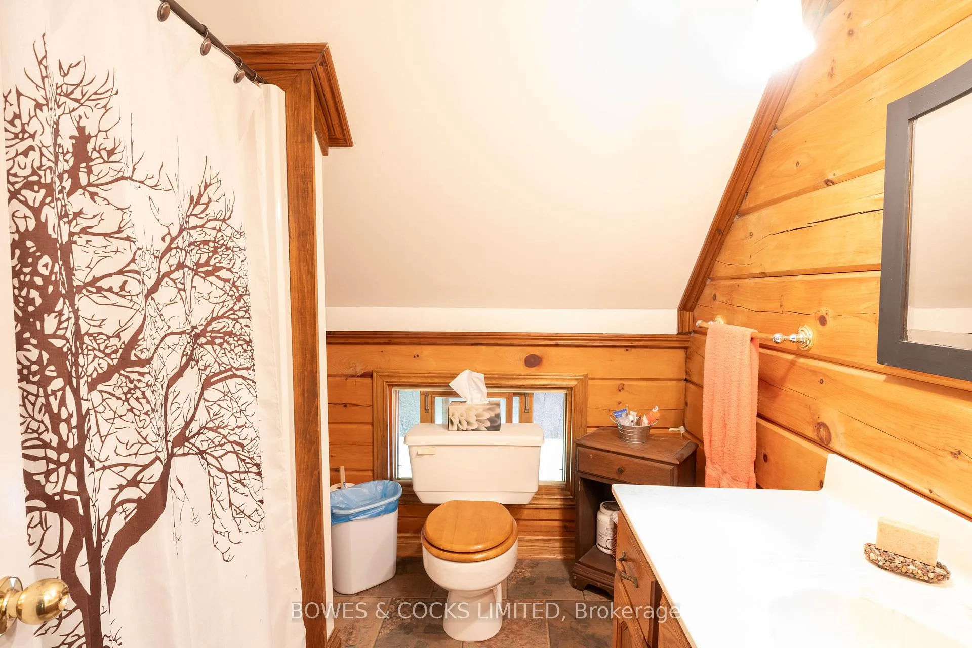 Photo 25 of 19 Ridge Road, Bancroft, Bancroft Ward — HOMEH