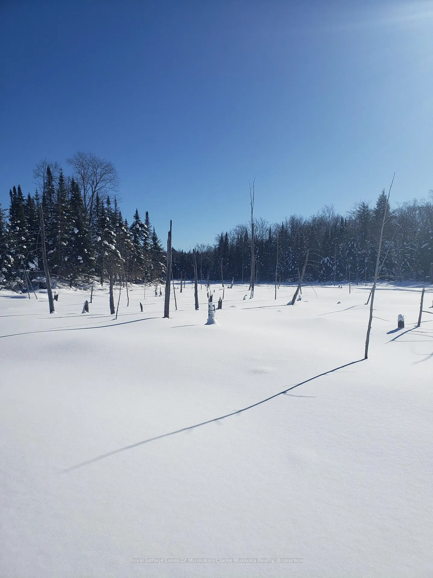 Photo 30 of 1210 Falkenburg Road, Bracebridge, Monck (Bracebridge) — HOMEH
