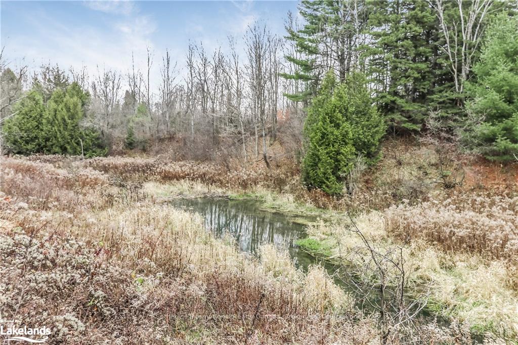 Photo 37 of 449 Mertz Corner Rd, Tiny, Rural Tiny — HOMEH
