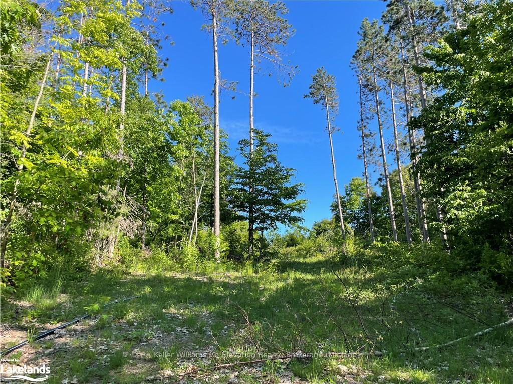Photo 16 of LOT 12 14 Concession Road E, Tiny, Rural Tiny — HOMEH