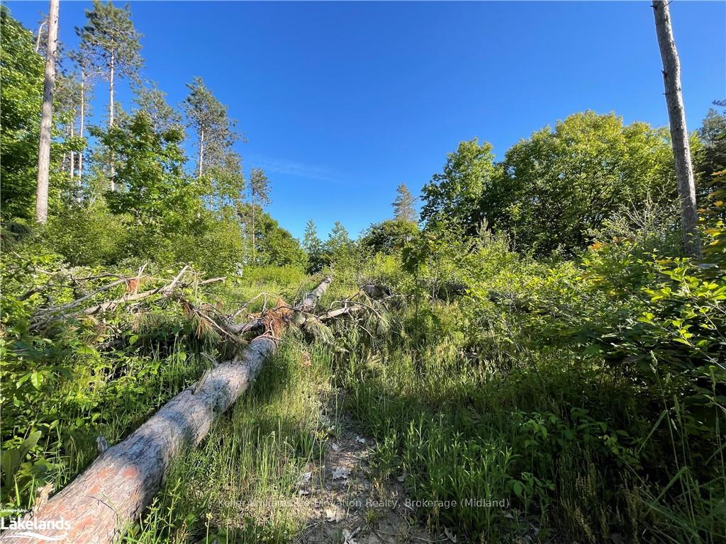 Photo 19 of LOT 12 14 Concession Road E, Tiny, Rural Tiny — HOMEH