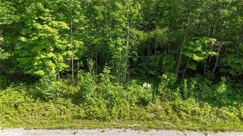 Photo 18 of LOT 585 Champlain Road, Tiny, Rural Tiny — HOMEH
