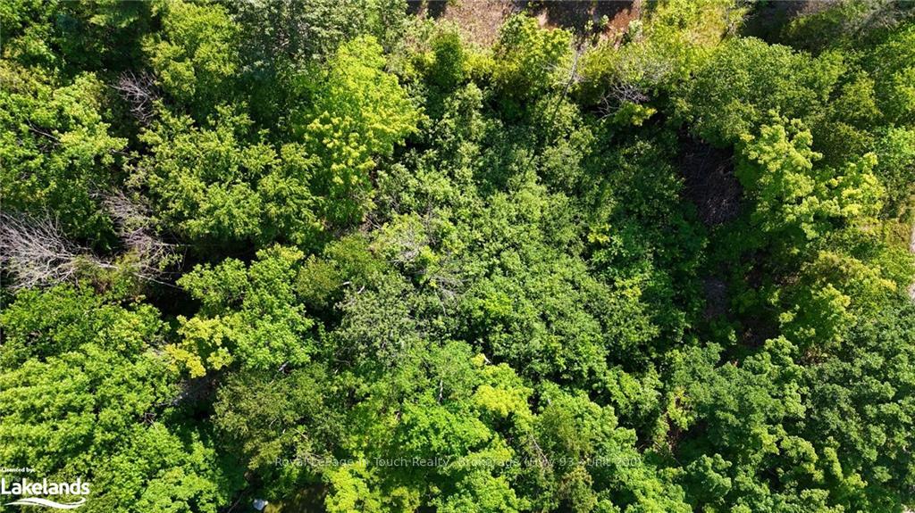 Photo 24 of LOT 585 Champlain Road, Tiny, Rural Tiny — HOMEH