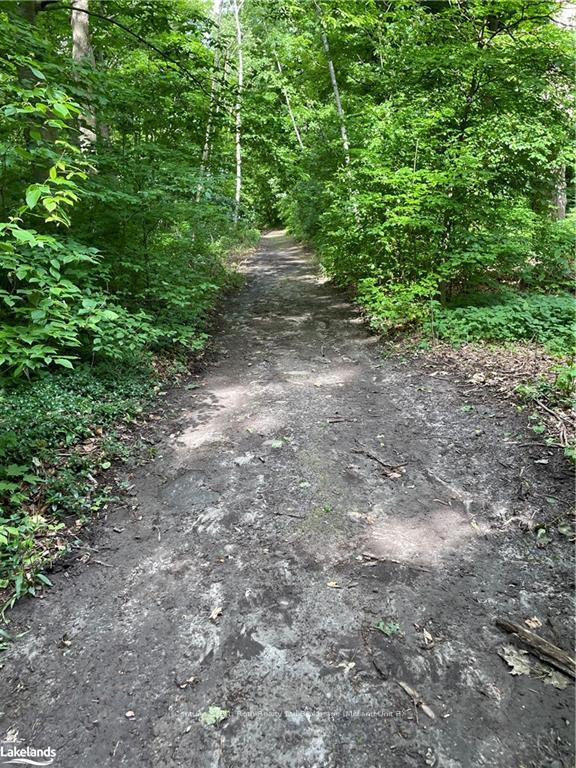 Photo 5 of 26 Glen Cedar Drive, Tiny, Rural Tiny — HOMEH