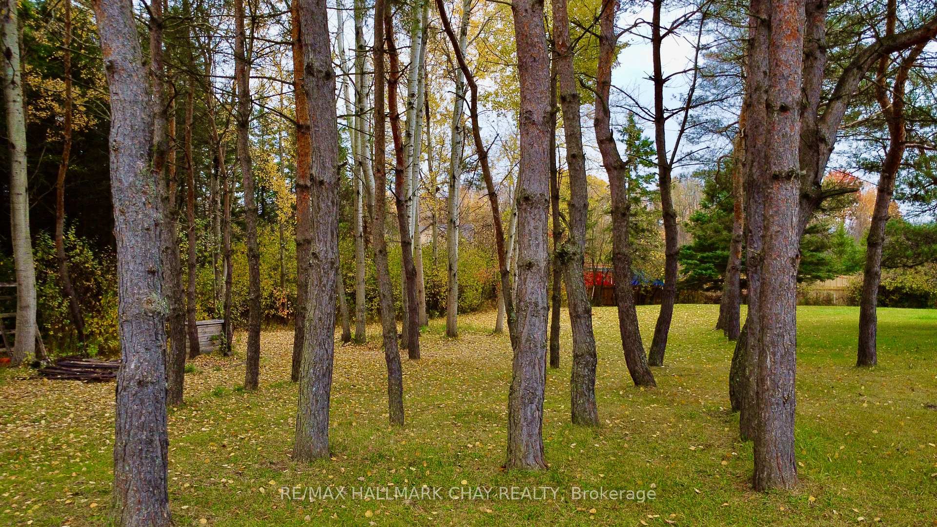 Photo 10 of 8345 93 W, Tiny, Rural Tiny — HOMEH