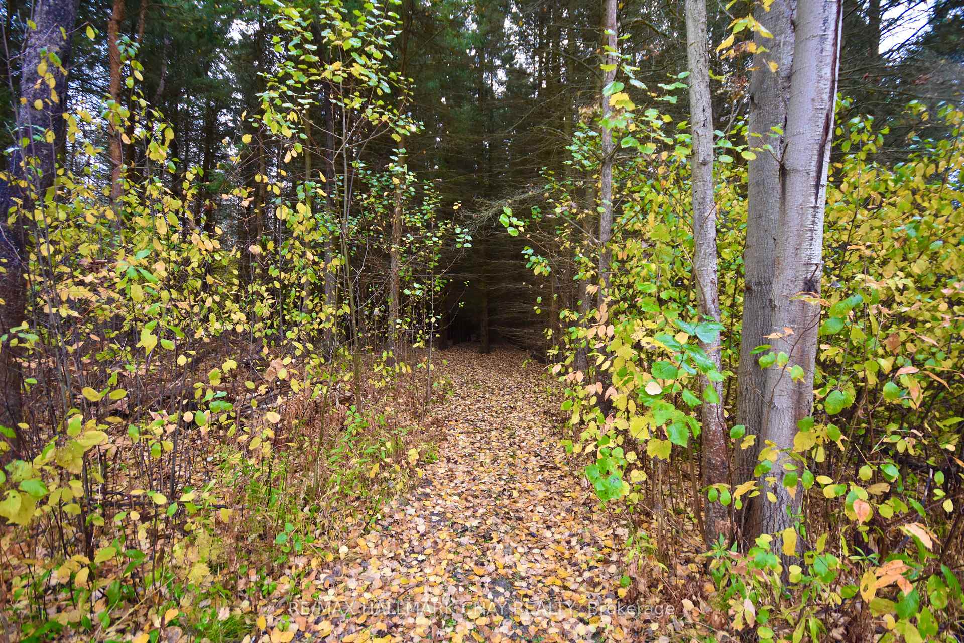 Photo 11 of 8345 93 W, Tiny, Rural Tiny — HOMEH