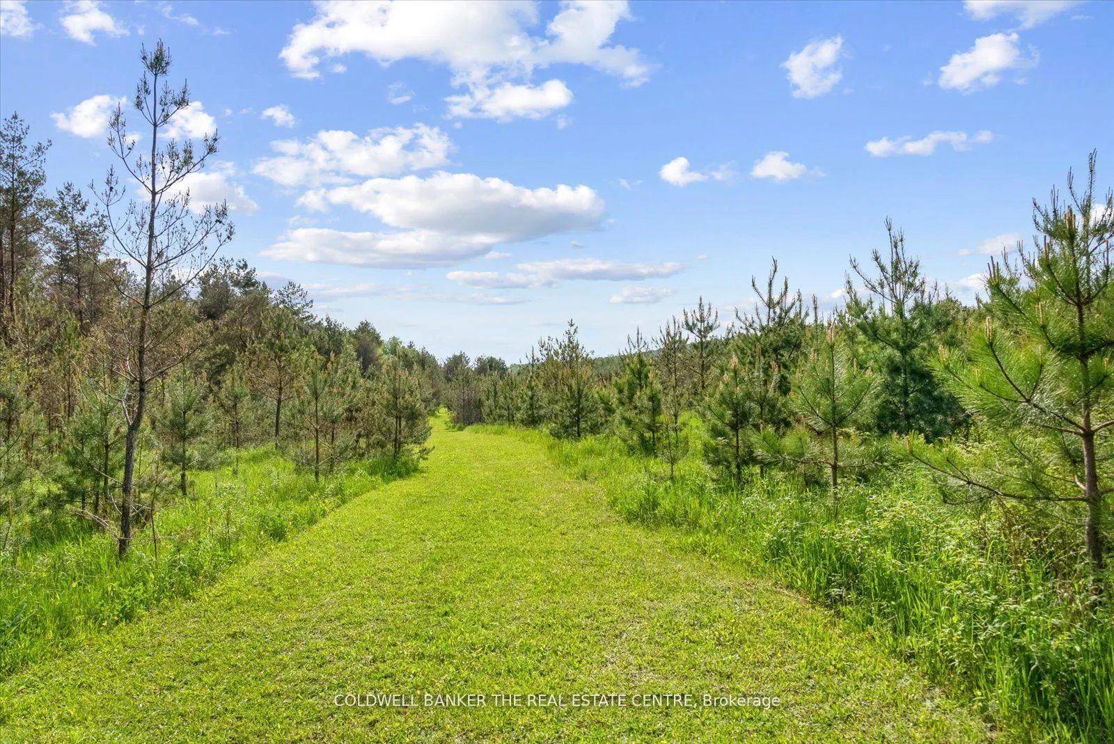 Photo 41 of 798213 3rd Line, Mulmur, Rural Mulmur — HOMEH