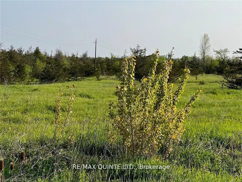 Photo 5 of Rosseau Crossroad, Prince Edward County, Hallowell Ward — HOMEH