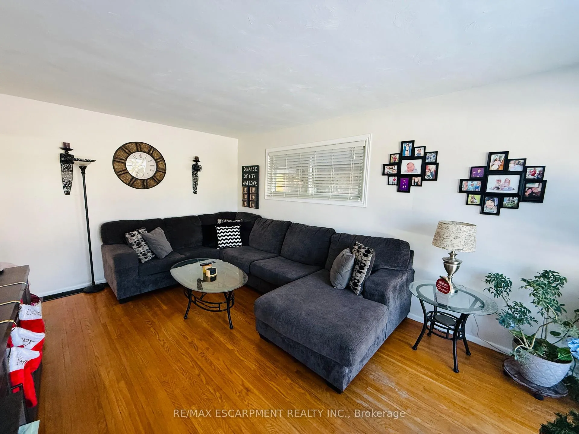 Photo 9 of 22 Gildea Street, Hamilton, Burkholme — HOMEH
