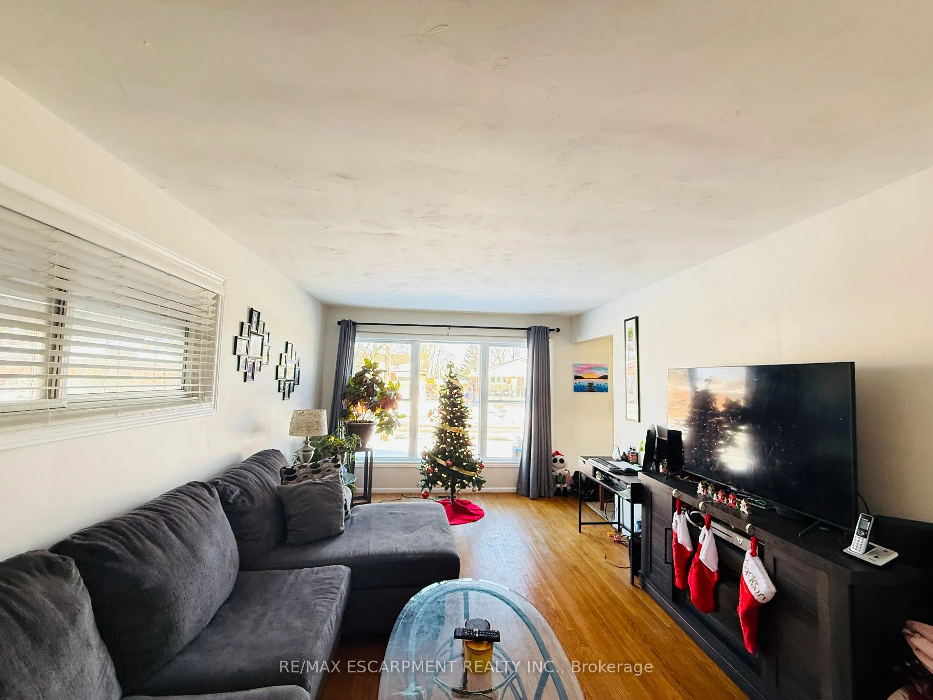 Photo 10 of 22 Gildea Street, Hamilton, Burkholme — HOMEH
