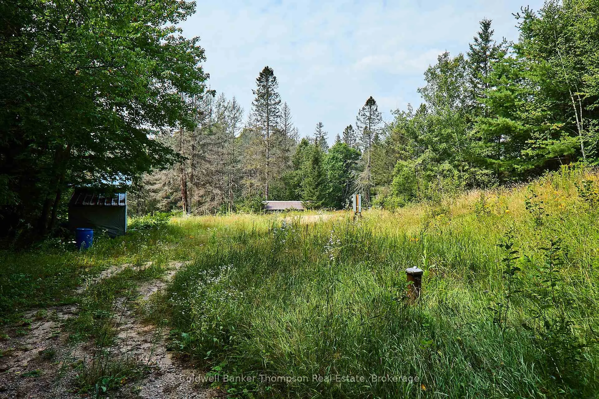 Photo 6 of 185 Halls Road E, Magnetawan — HOMEH