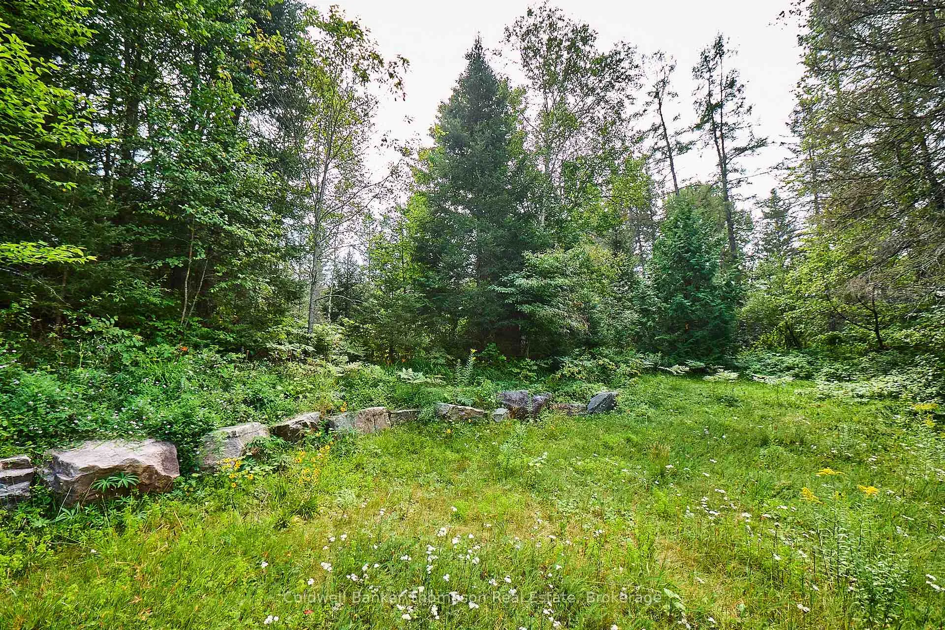 Photo 7 of 185 Halls Road E, Magnetawan — HOMEH