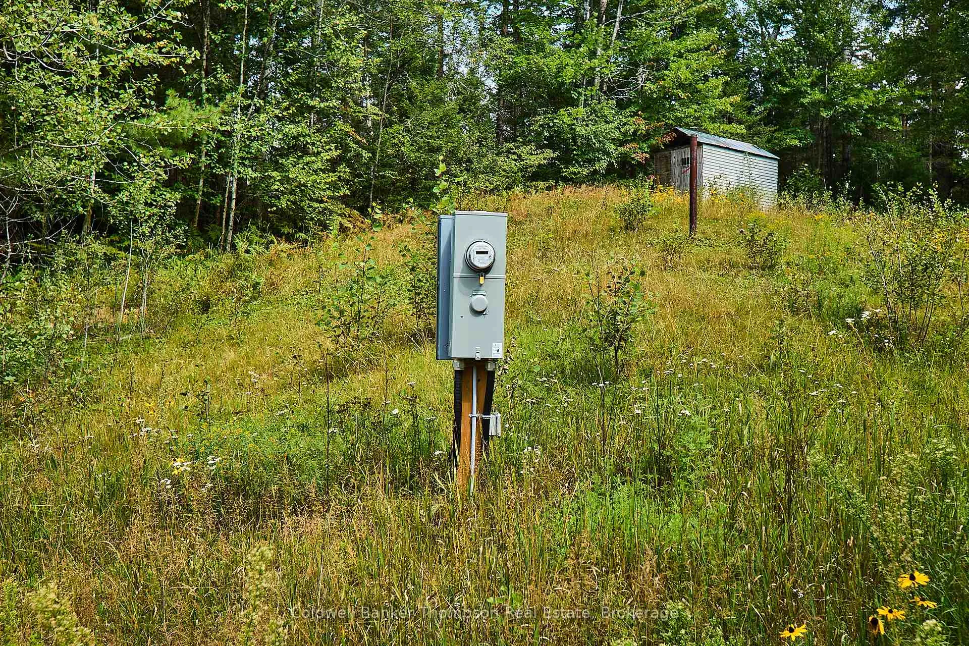 Photo 8 of 185 Halls Road E, Magnetawan — HOMEH
