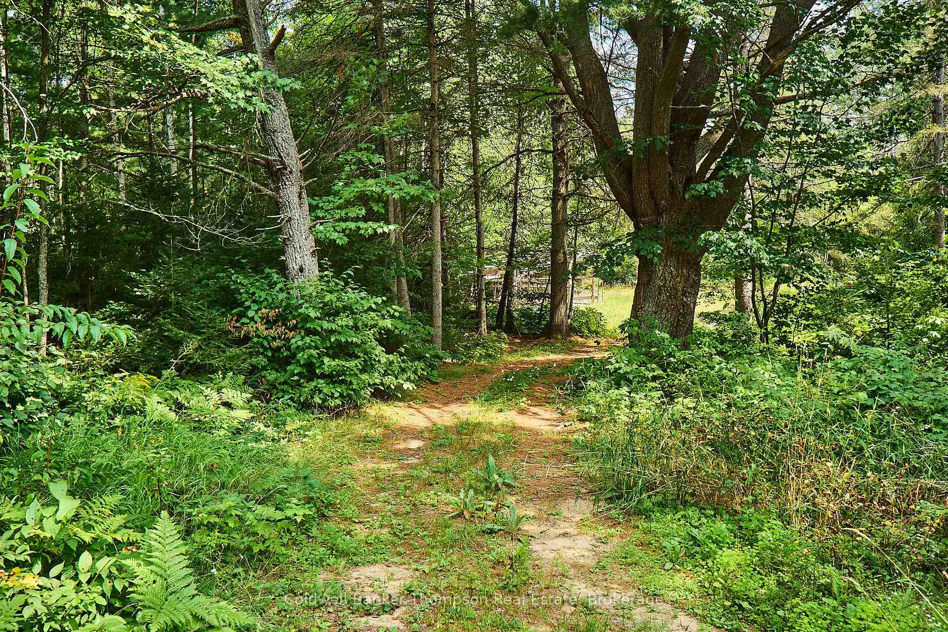 Photo 12 of 185 Halls Road E, Magnetawan — HOMEH