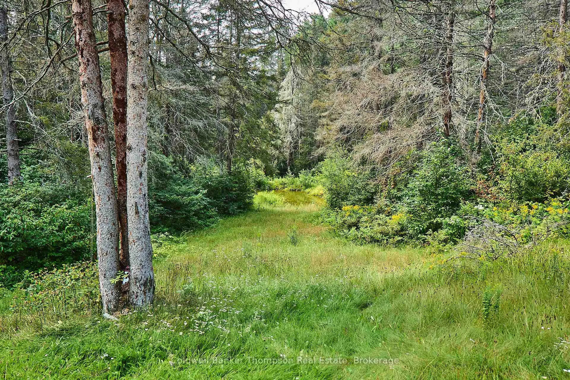 Photo 14 of 185 Halls Road E, Magnetawan — HOMEH