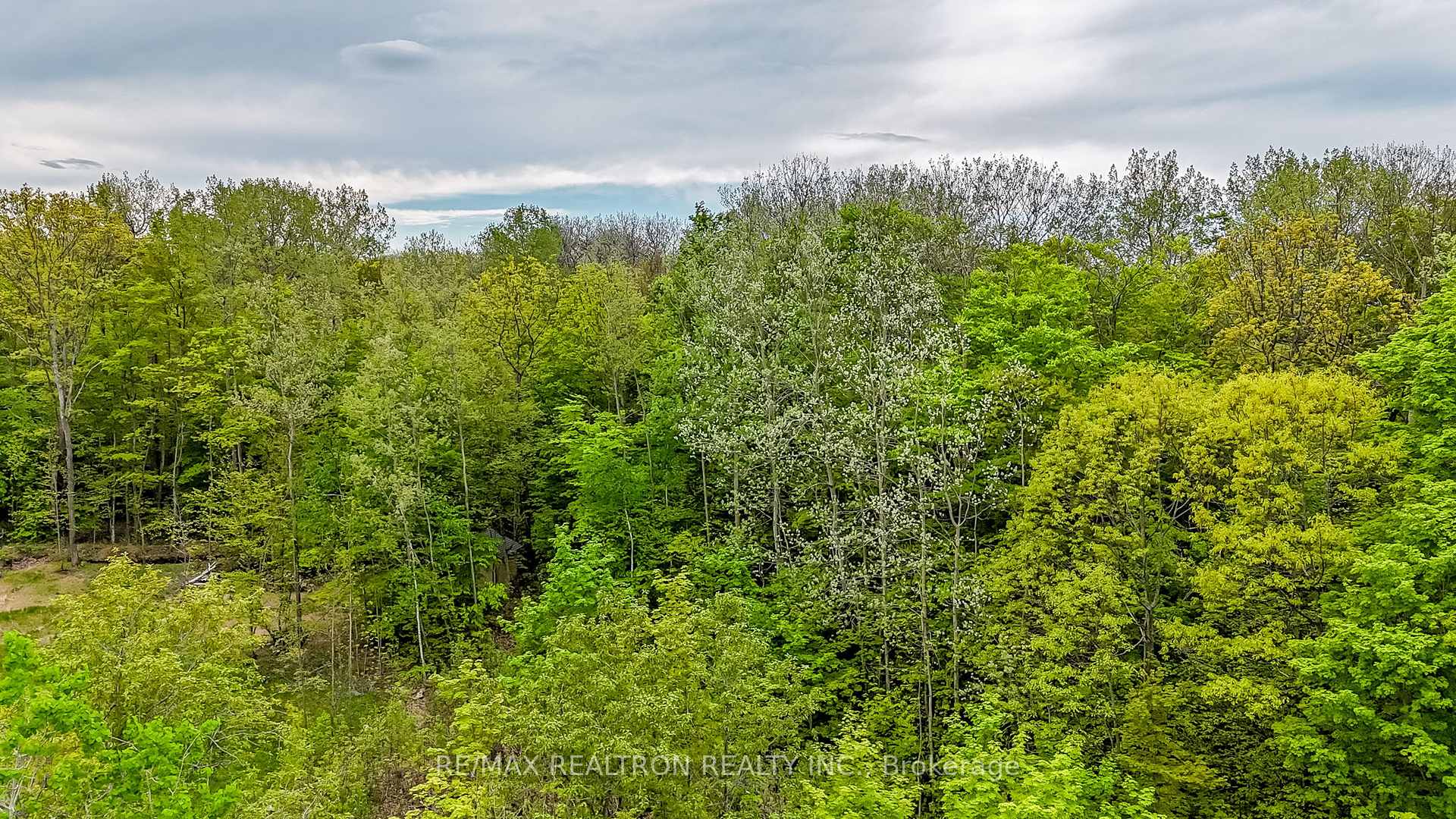 Photo 4 of Lt 17 Champlain Road, Tiny, Rural Tiny — HOMEH