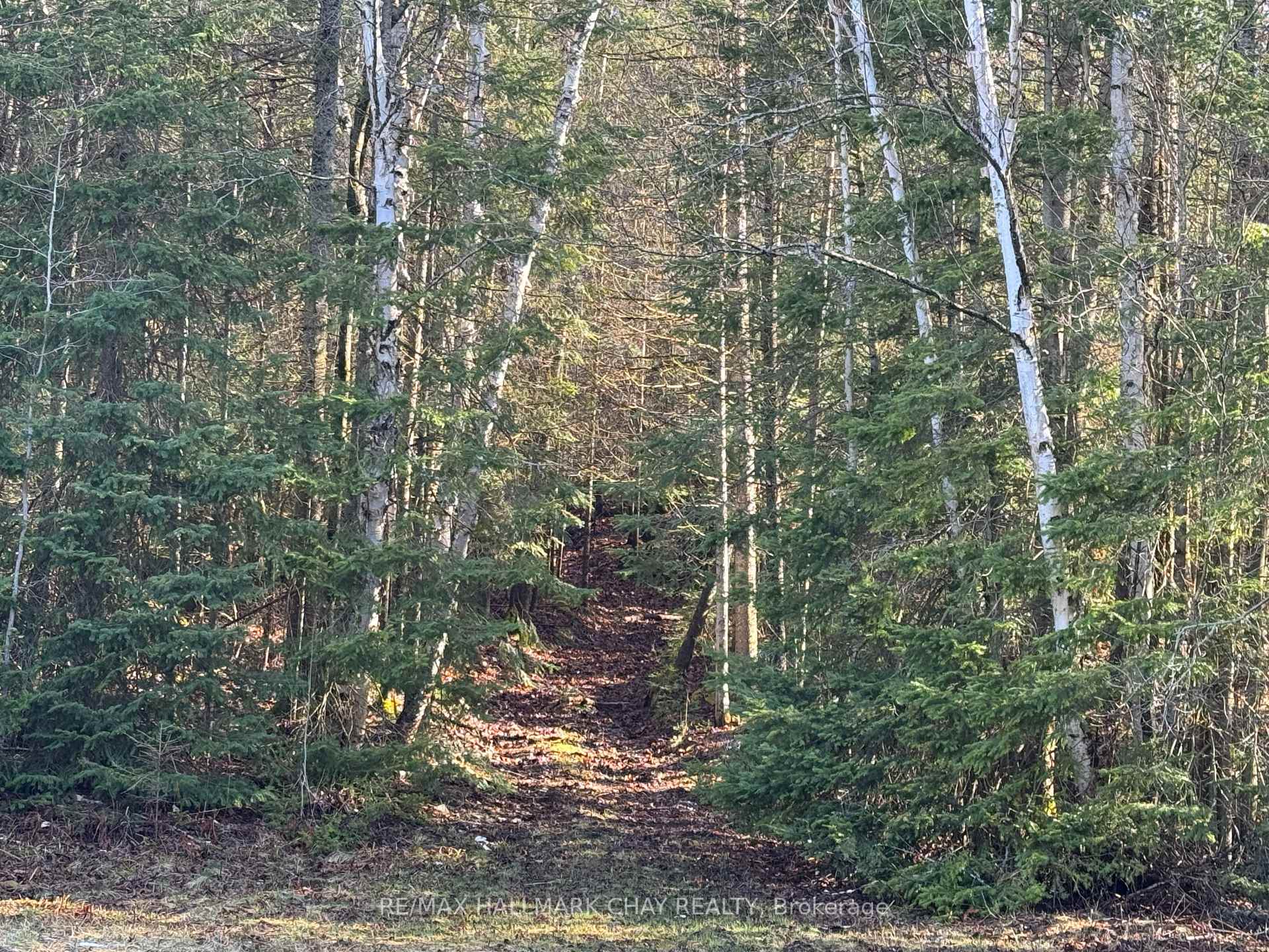 Photo 13 of 2318 Pickerel & Jack Lake Road, Armour — HOMEH
