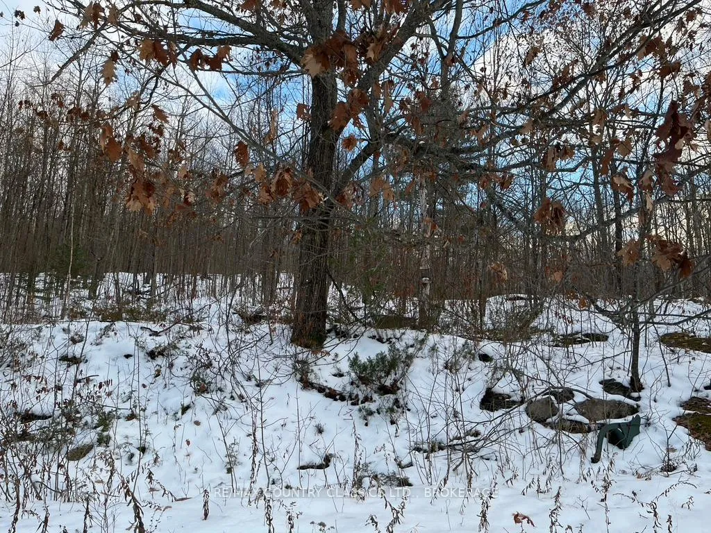 Photo 64 of 534 B Slate Falls Road, Addington Highlands — HOMEH