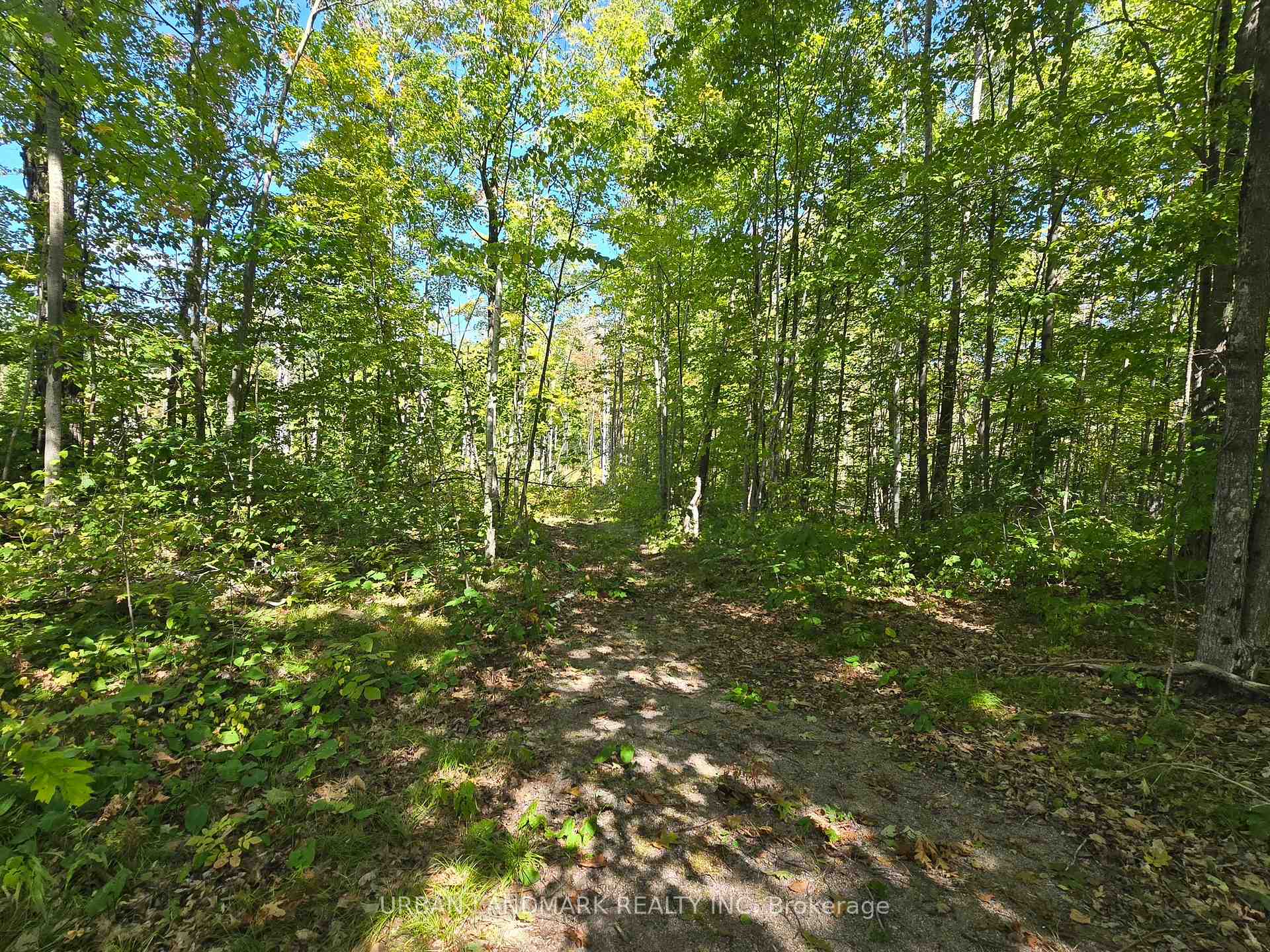 Photo 28 of 112773 7 Highway, Addington Highlands — HOMEH