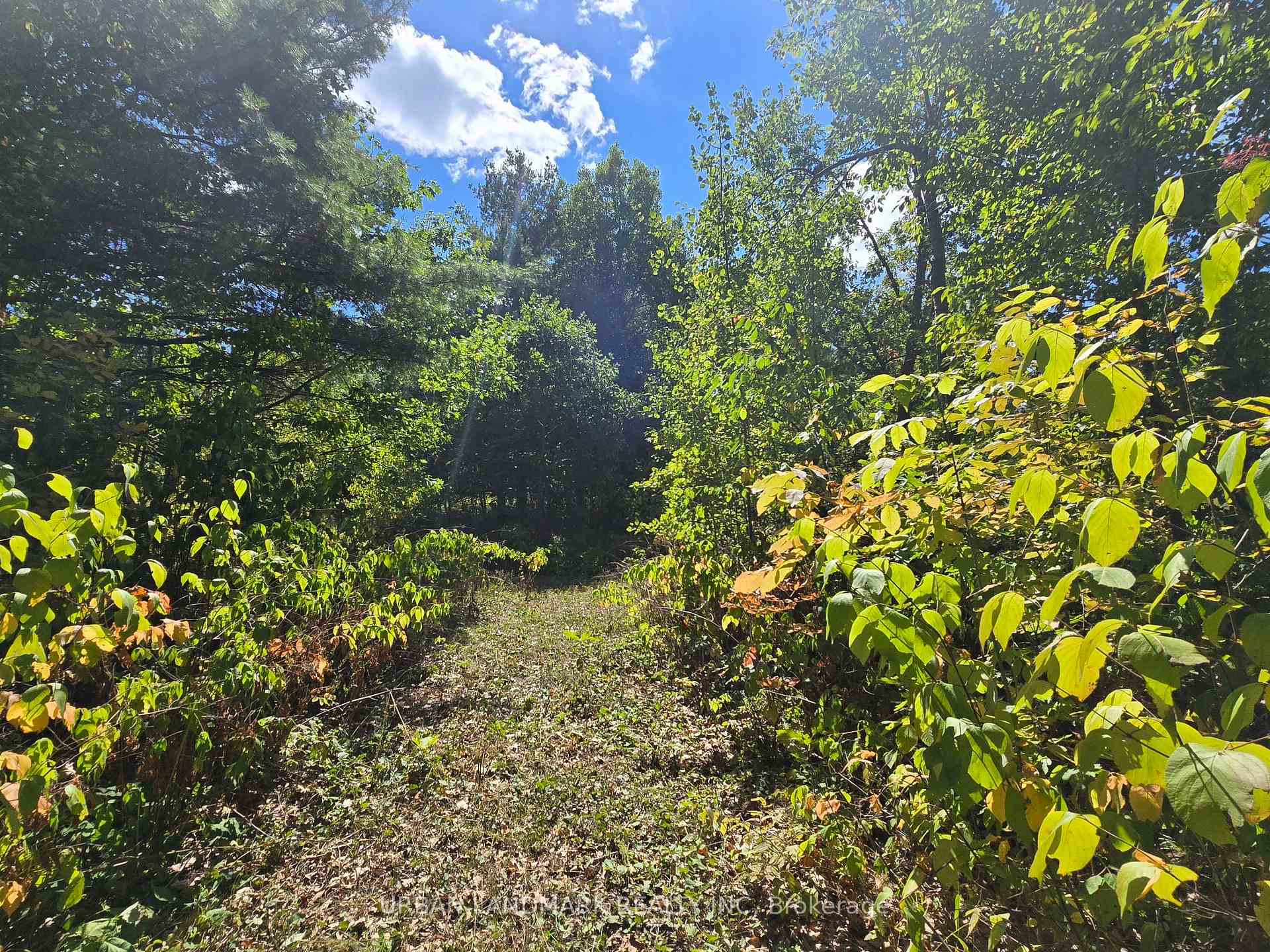 Photo 26 of 112773 7 Highway, Addington Highlands — HOMEH