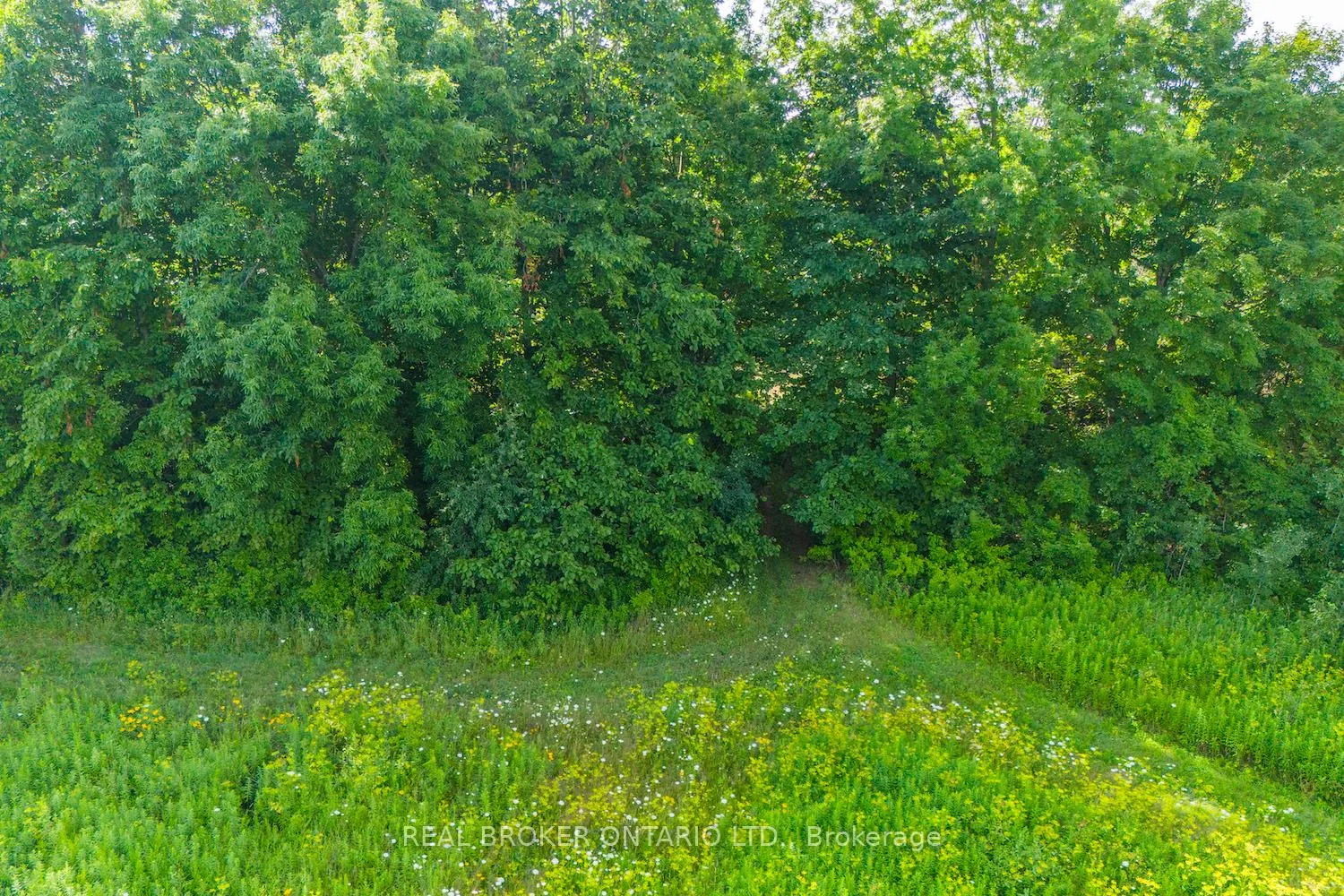 Photo 42 of Lot 2 Kyle Road, Augusta, Augusta Twp — HOMEH