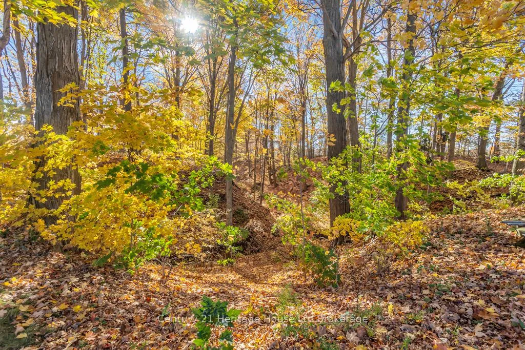 Photo 24 of 57225 Talbot Line, Bayham, Rural Bayham — HOMEH