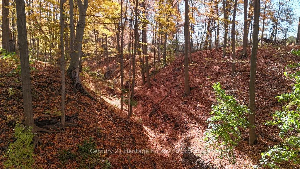 Photo 32 of 57225 Talbot Line, Bayham, Rural Bayham — HOMEH