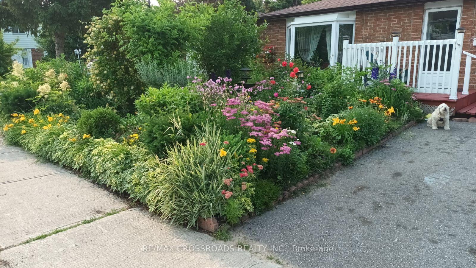 Photo 1 of 41 Gemshaw Crescent, Scarborough, Malvern — HOMEH