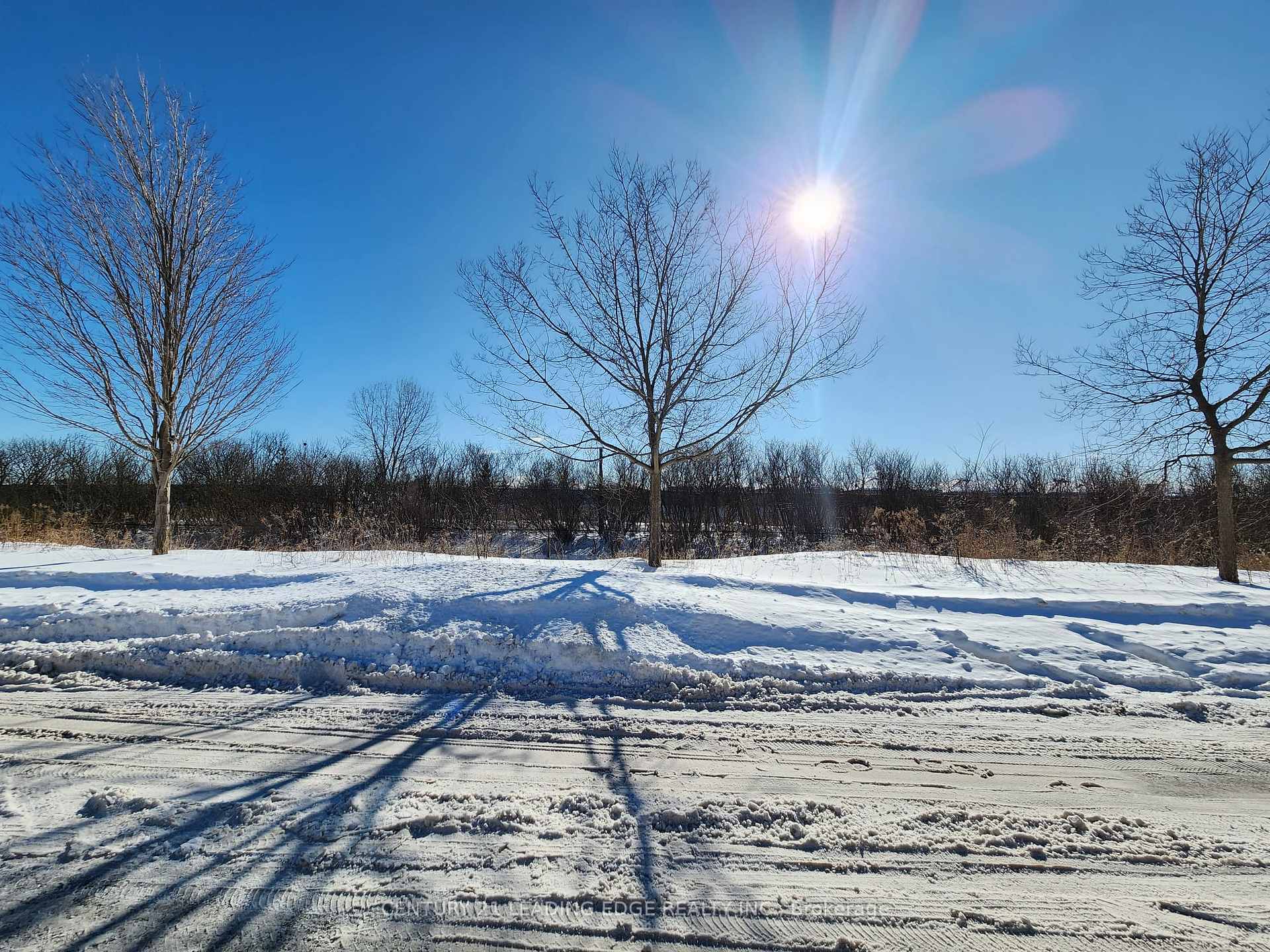 Photo 26 of 146 Gristone Crescent, Scarborough, Rouge — HOMEH