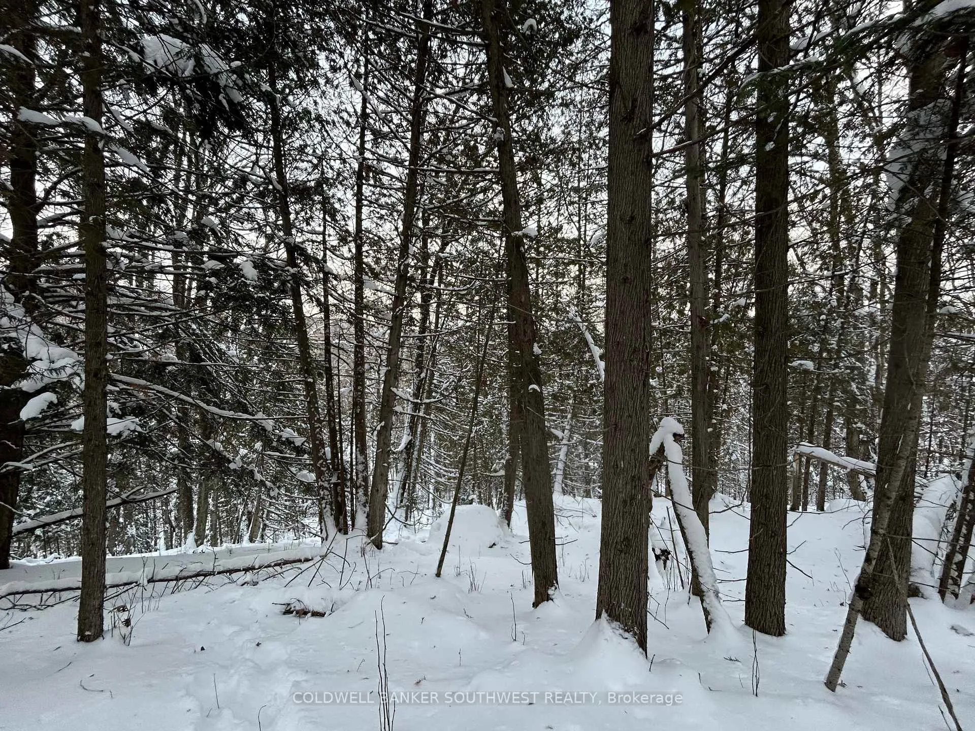 Photo 6 of Pineridge Road, Bancroft, Dungannon Ward — HOMEH