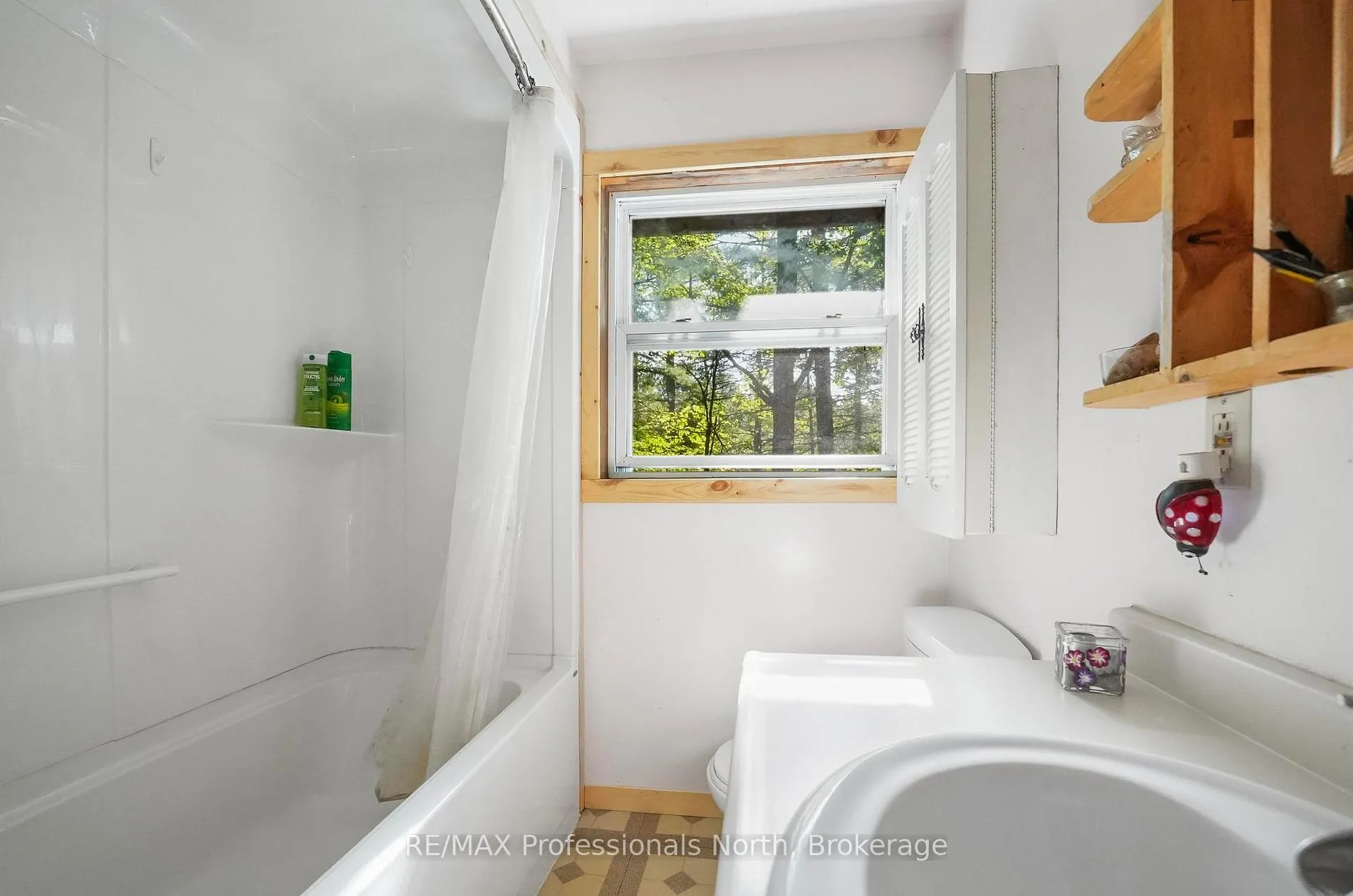 Photo 94 of 1021 Millwoods Road, Algonquin Highlands, Stanhope — HOMEH