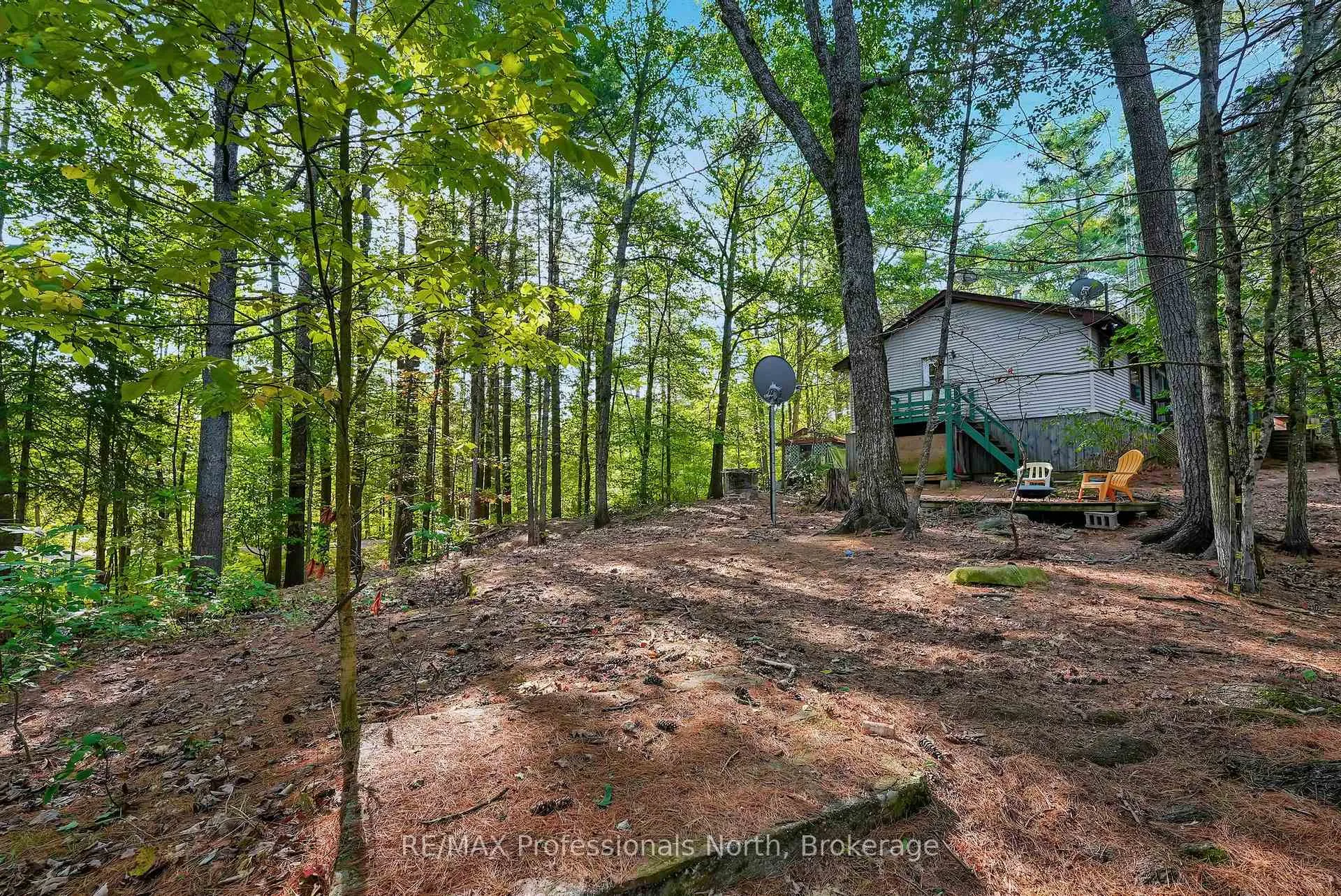 Photo 200 of 1021 Millwoods Road, Algonquin Highlands, Stanhope — HOMEH