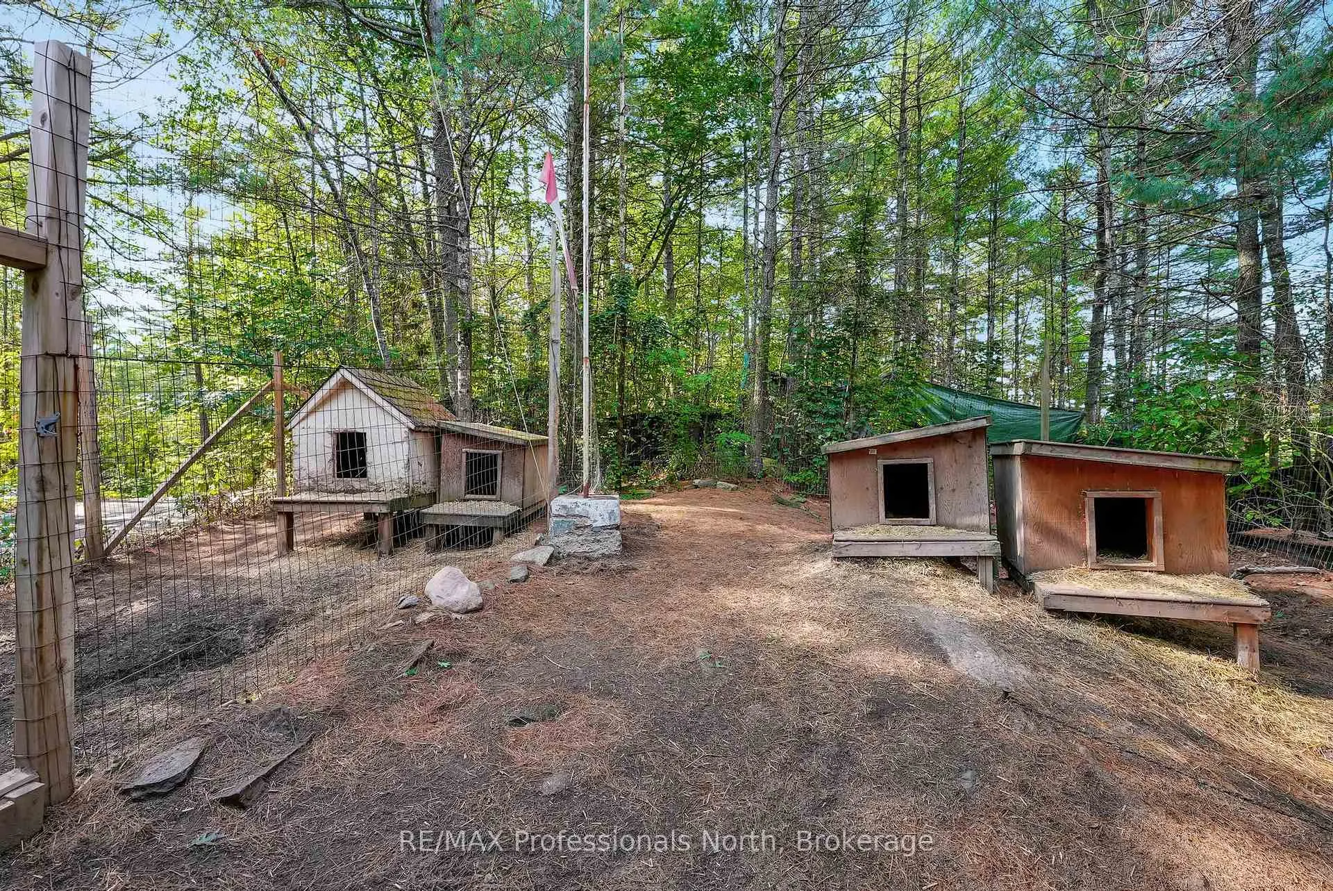 Photo 232 of 1021 Millwoods Road, Algonquin Highlands, Stanhope — HOMEH