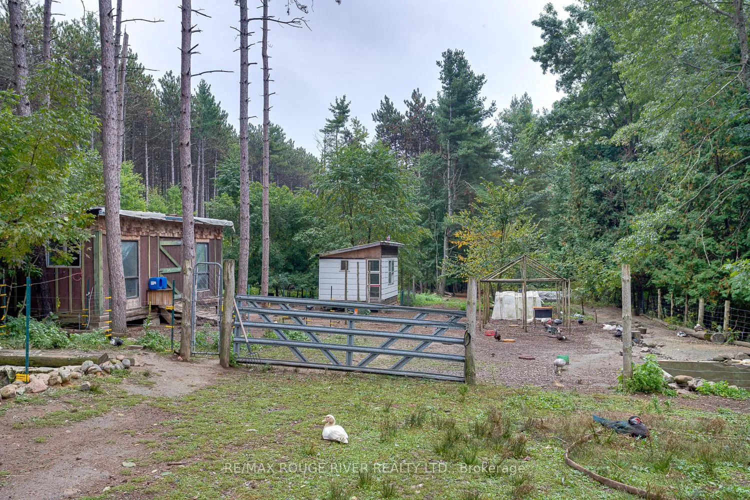 Photo 34 of 843 Eddystone Road, Alnwick/Haldimand, Rural Alnwick/Haldimand — HOMEH
