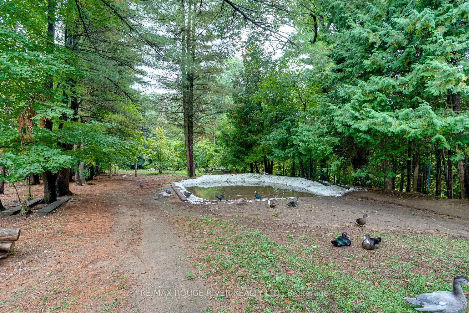 Photo 39 of 843 Eddystone Road, Alnwick/Haldimand, Rural Alnwick/Haldimand — HOMEH