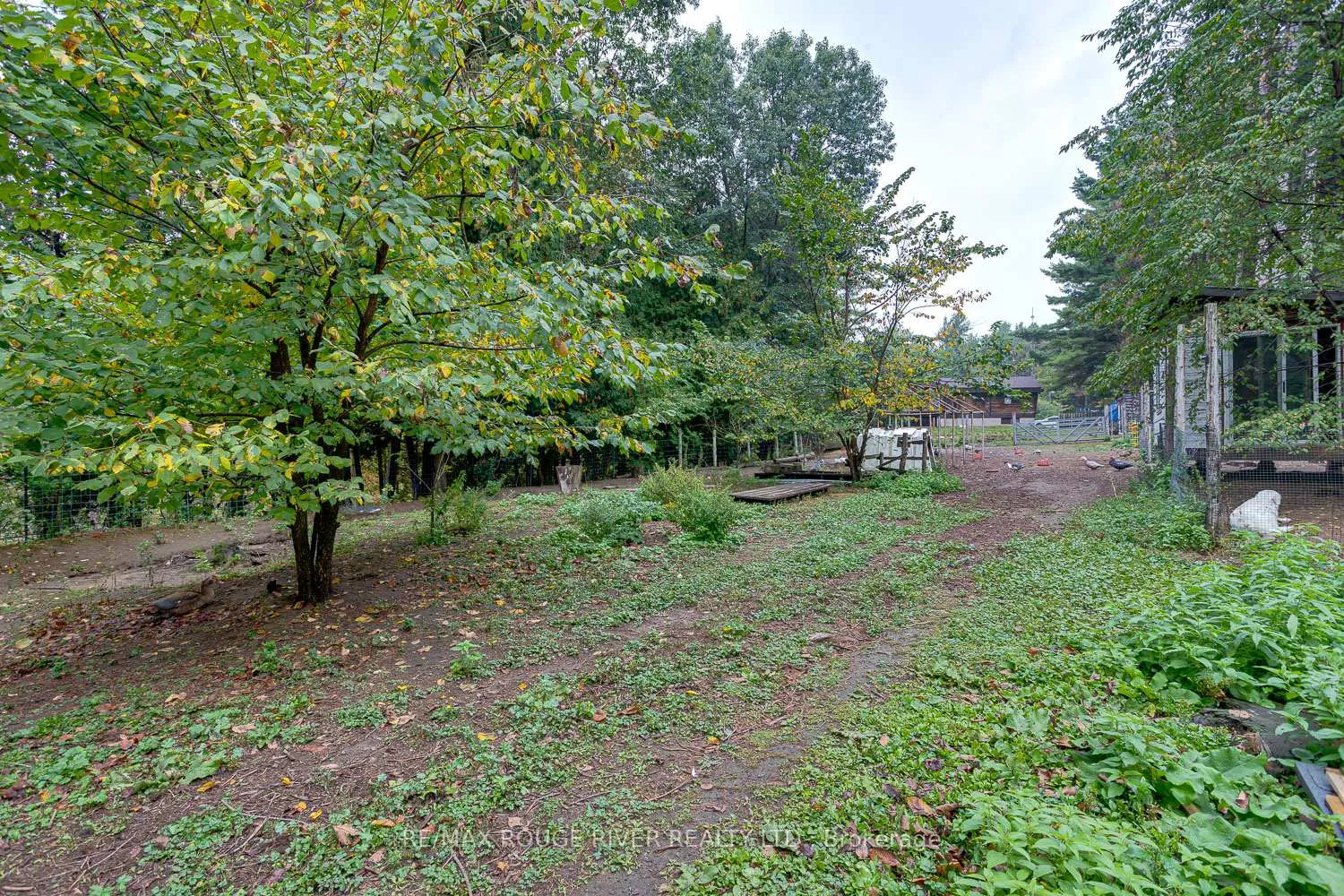 Photo 44 of 843 Eddystone Road, Alnwick/Haldimand, Rural Alnwick/Haldimand — HOMEH
