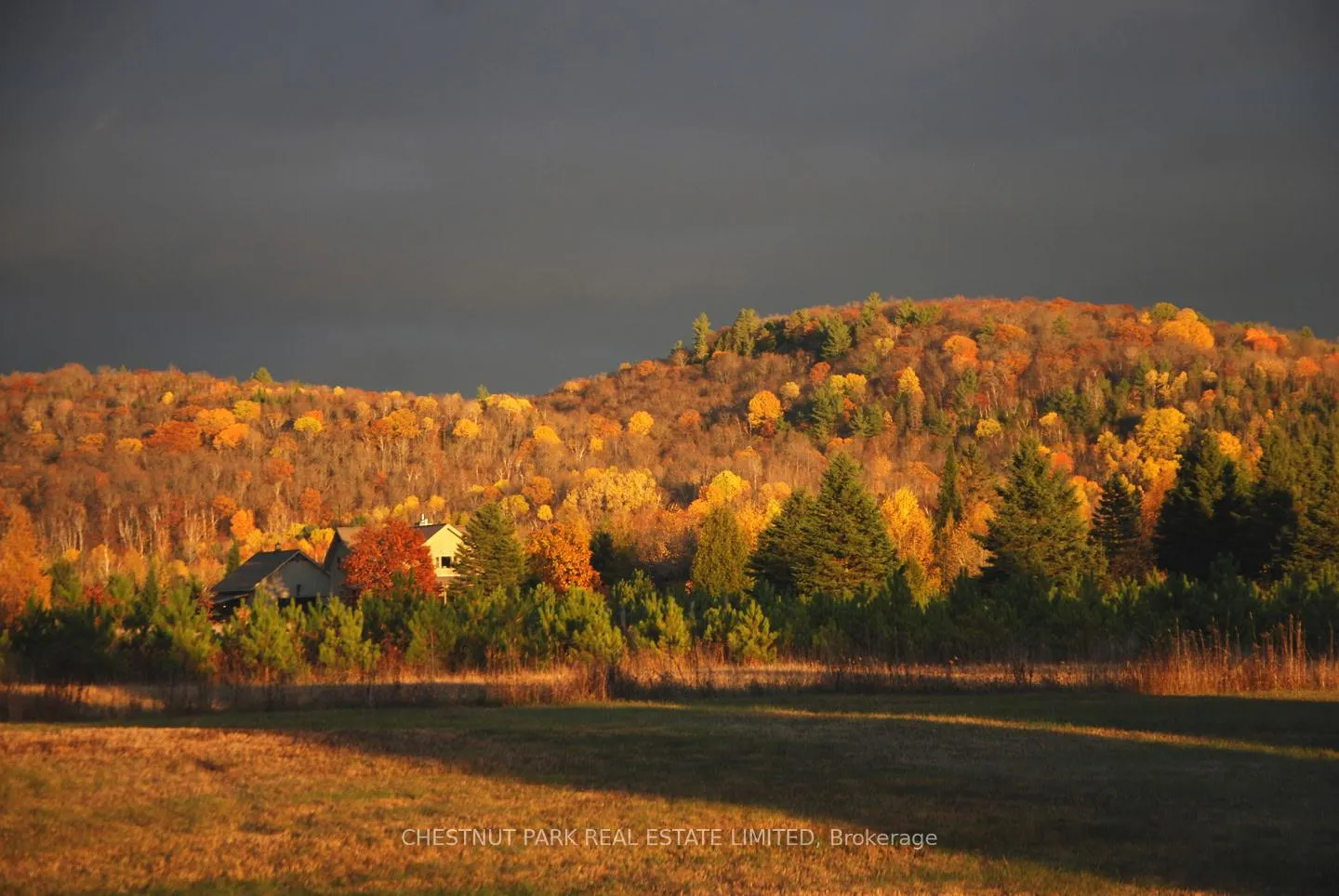 Photo 47 of 778 Maxwell Settlement Road, Bancroft, Dungannon Ward — HOMEH