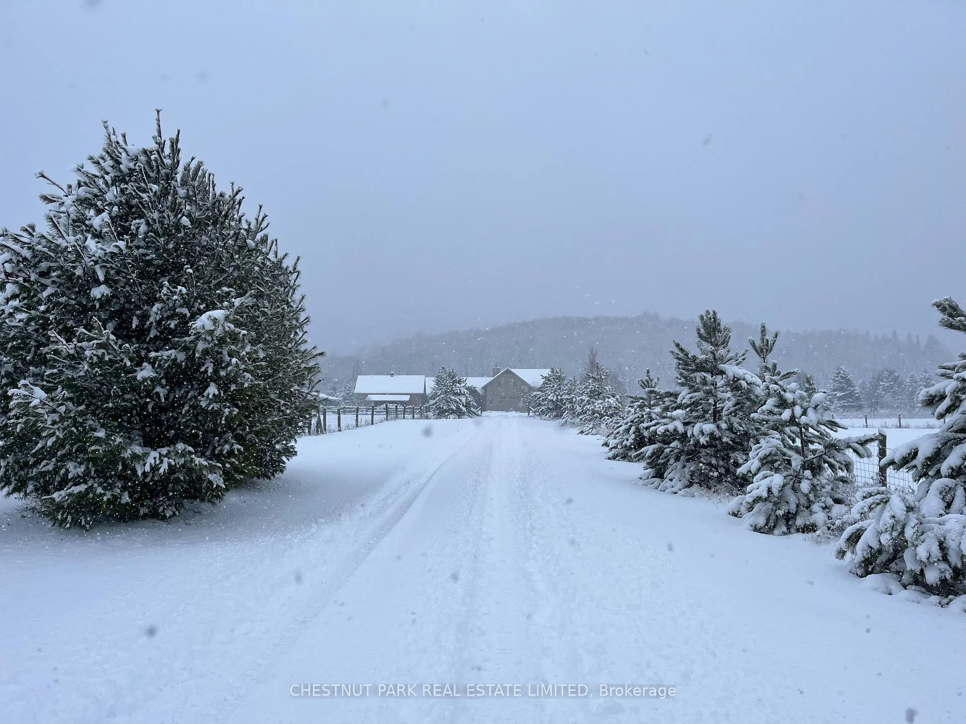 Photo 50 of 778 Maxwell Settlement Road, Bancroft, Dungannon Ward — HOMEH