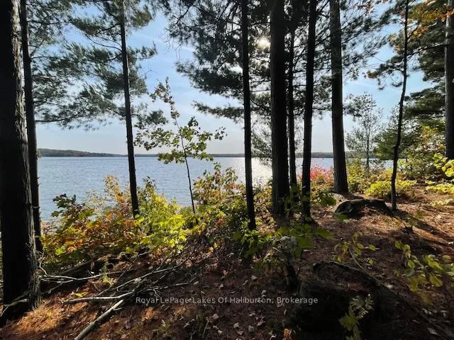 Photo 12 of Hwy 35, Algonquin Highlands, Stanhope — HOMEH