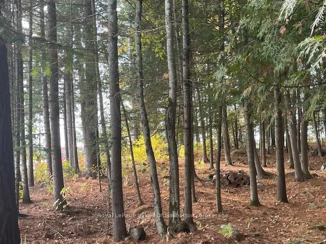 Photo 14 of Hwy 35, Algonquin Highlands, Stanhope — HOMEH