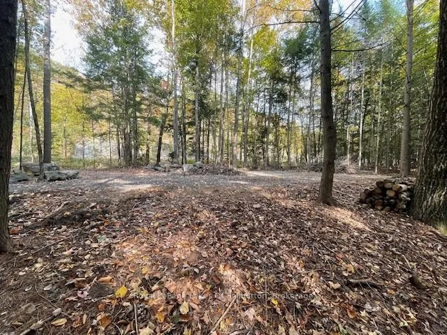 Photo 20 of Hwy 35, Algonquin Highlands, Stanhope — HOMEH
