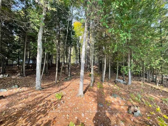 Photo 22 of Hwy 35, Algonquin Highlands, Stanhope — HOMEH